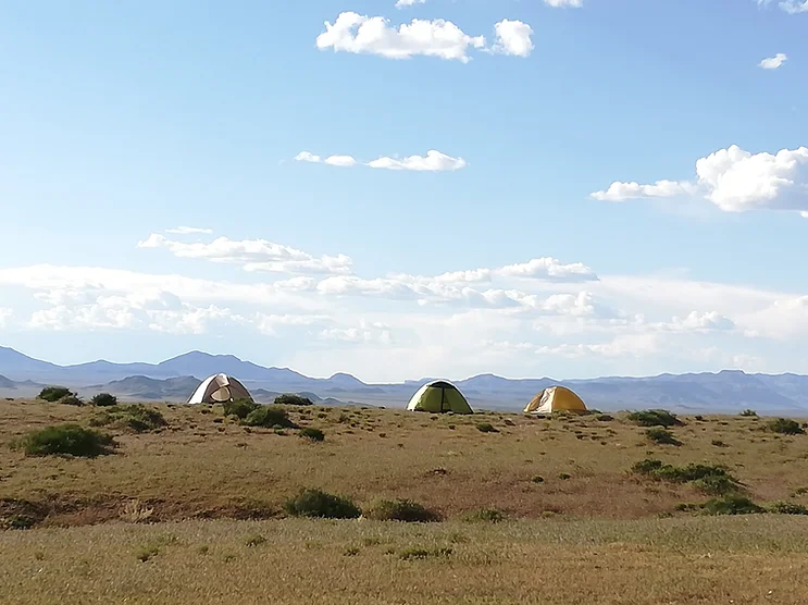 5 C’s of Desert Field work