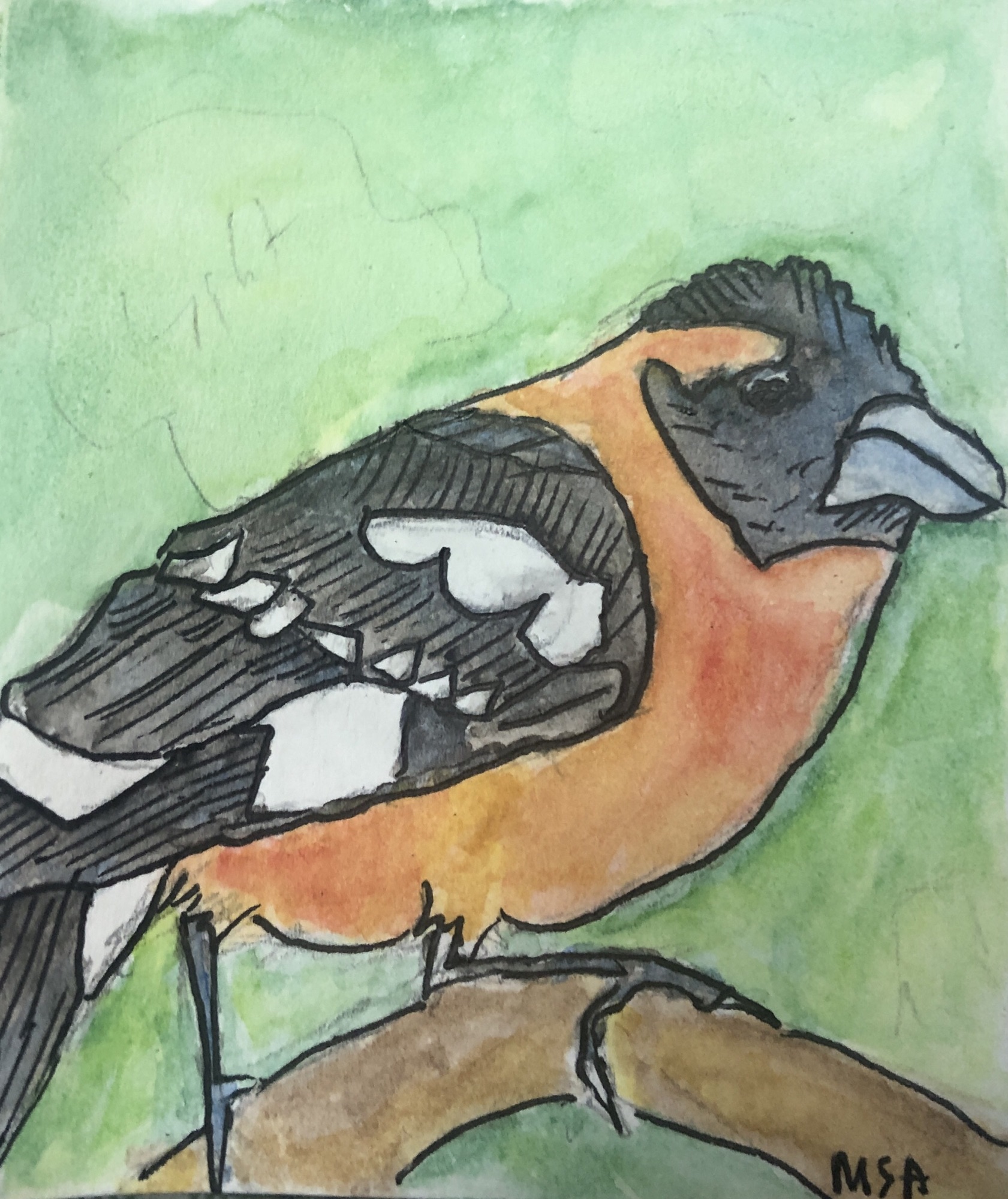 World Migratory Bird Day: Urban Forest Edition