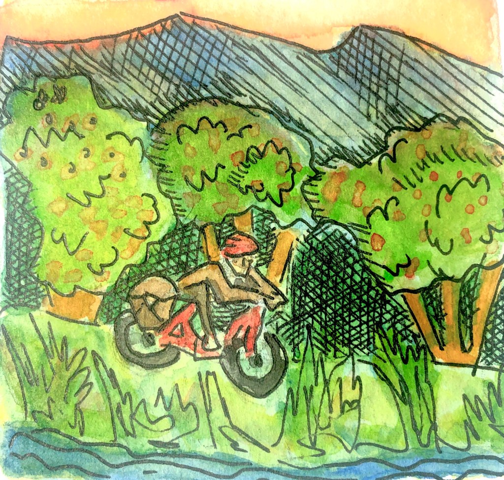 Cycling Impacts on Urban&nbsp;Forests