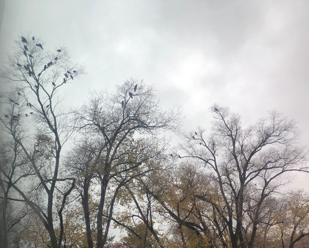 Free ISA CEUs: Week of
November 24, 2025