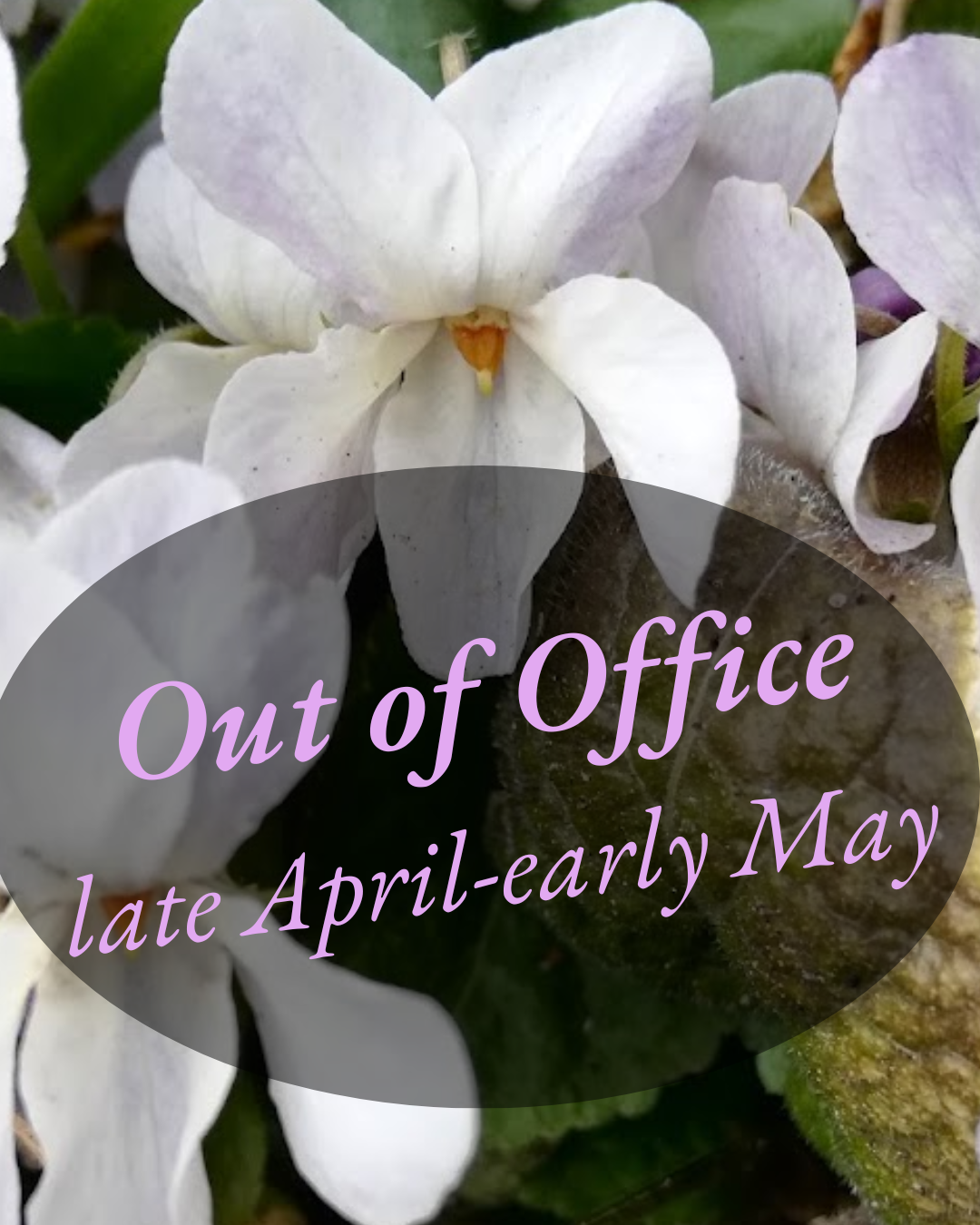 Free ISA CEUs: Week of April 27, 2026
